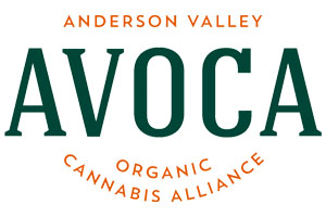 AVOCA